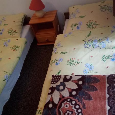 Osieki  Hostel Dworek Osiecki Koral מראה חיצוני תמונה