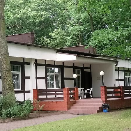 Osieki  Hostel Dworek Osiecki Koral מראה חיצוני תמונה